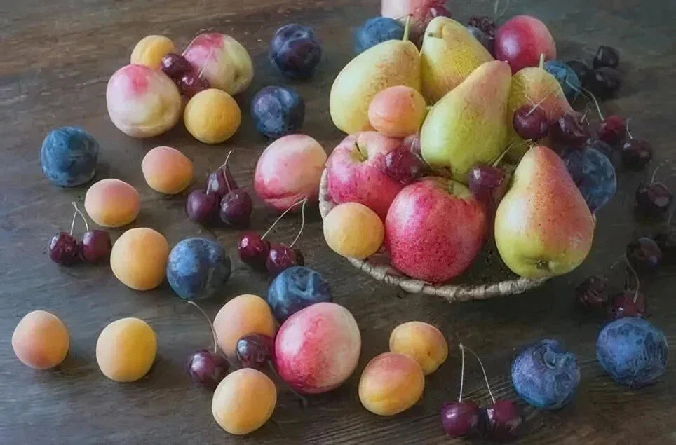 Assorted Fruit Tree Cuttings - 50+ Varieties Grafted Propagation for Edible Garden, Apple, Pear, Cherry, Deciduous Plants