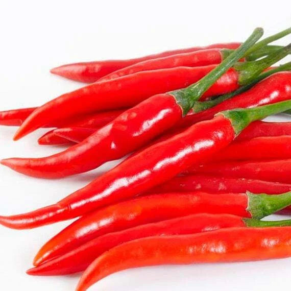 Cayenne Long Slim Pepper Seeds - Fresh Seed for Home Gardening - Capsicum annuum
