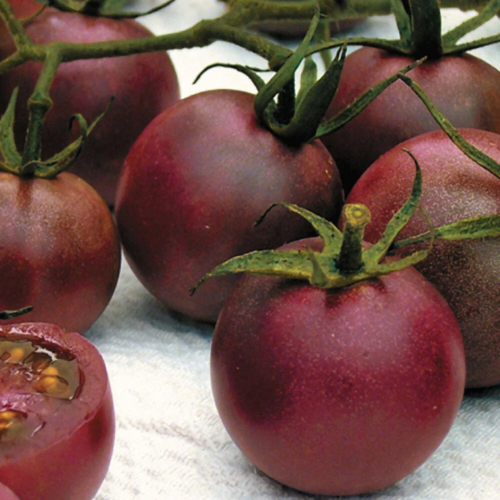 Chocolate Cherry Tomato Seeds - Super Sweet Variety - 30 Seeds - Heirloom Garden Planting - Perfect for Home Garden