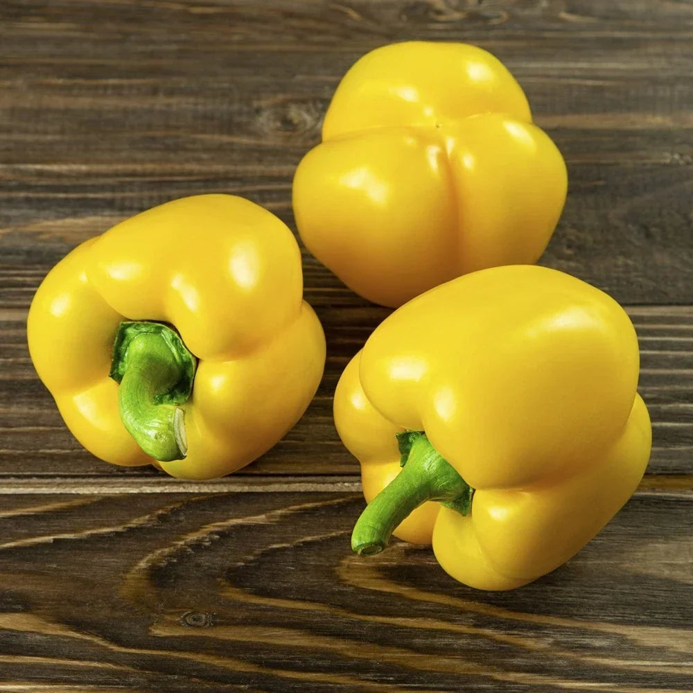 Mini Yellow Bell Pepper Seeds - Organic Non-GMO, Capsicum annuum, 50+ Seeds for Home Garden & Container Growing