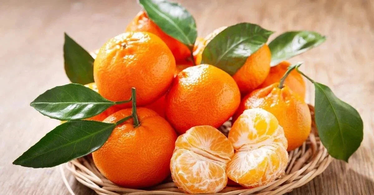 Mandarin Seeds Pack - Citrus reticulata - Grow Your Own Sweet Fruit - 12 Seeds for Backyard or Container Gardening