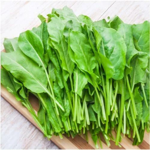 Large Leaf Sorrel Seeds - Organic Summer & Winter Variety for Garden or Patio - Easy to Grow, Perfect for Containers (Rumex acetosa)