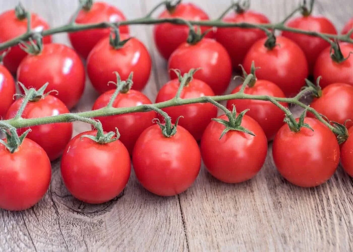 Sweetie Cherry Tomato Seeds - 120+ Heirloom Organic Seeds - Solanum lycopersicum