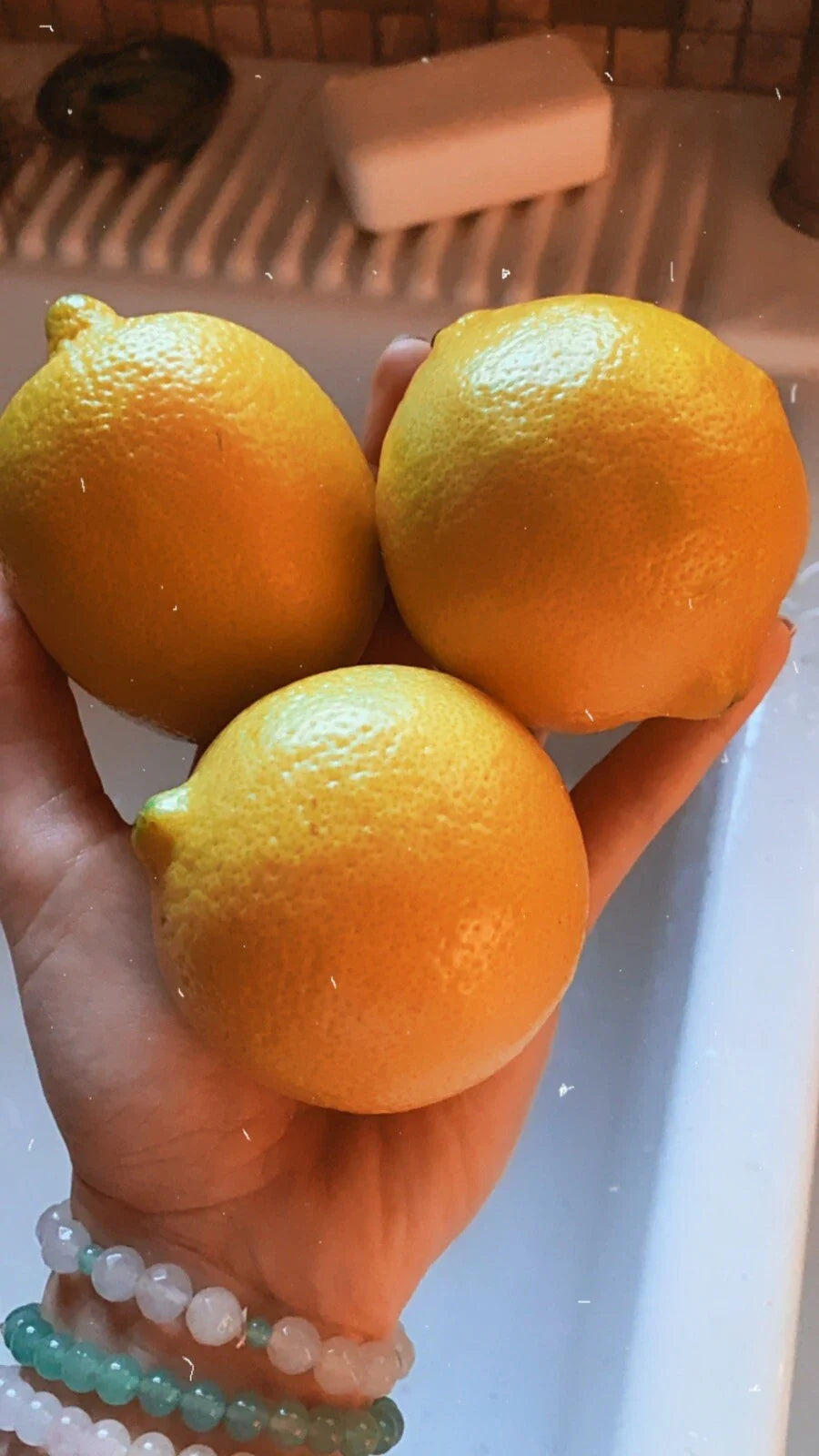 Lemon Seeds - 5 Organic Non-GMO Citrus Fruit Seeds - Pesticide Free - Perfect for Garden Planting - Citrus limon