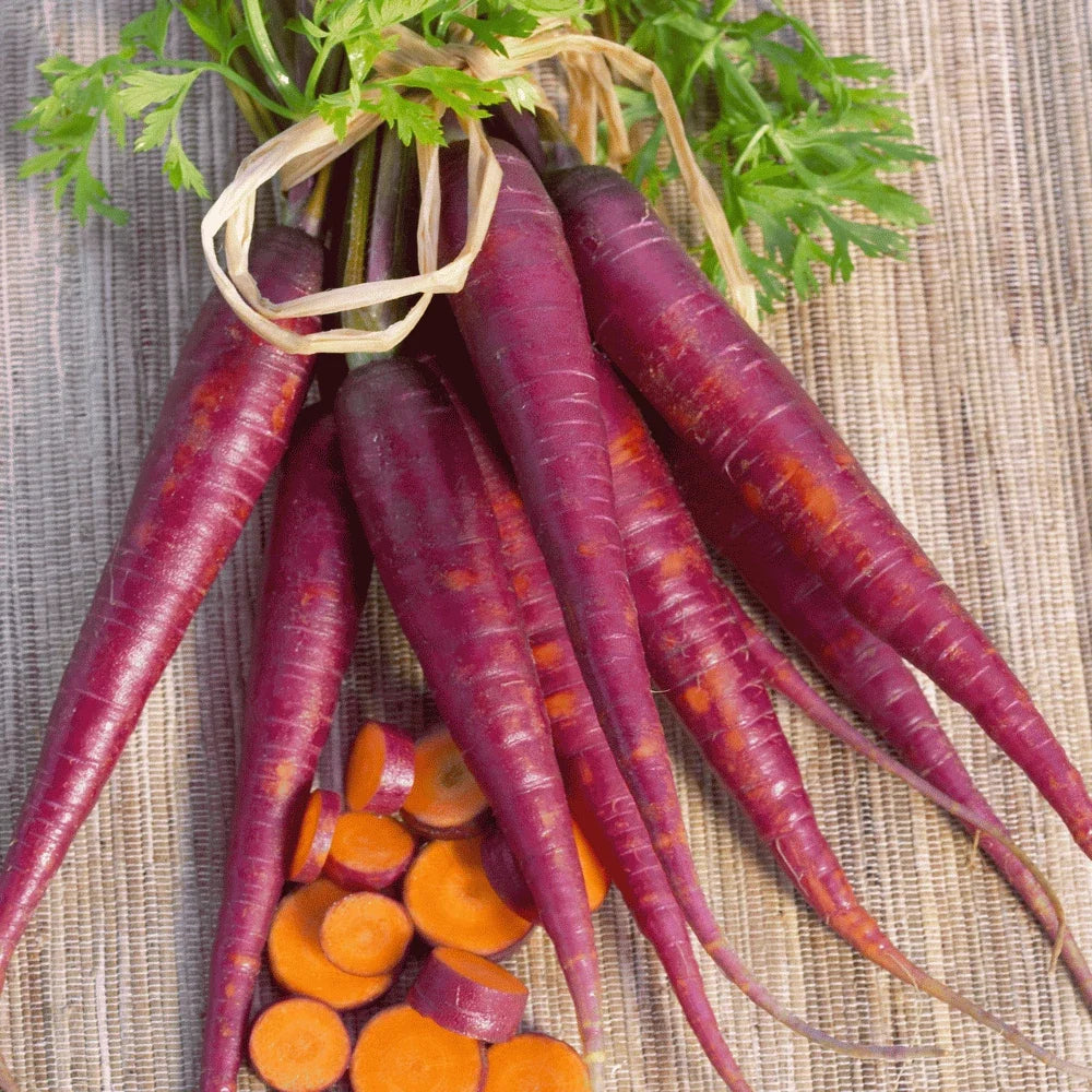 Cosmic Purple Carrot Seeds - Heirloom Daucus carota Vegetable Seeds - Pack of 100