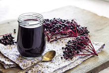 Elderberry Cuttings - 50 Fresh Black Bearing Cuttings for Growing Sambucus nigra Plants