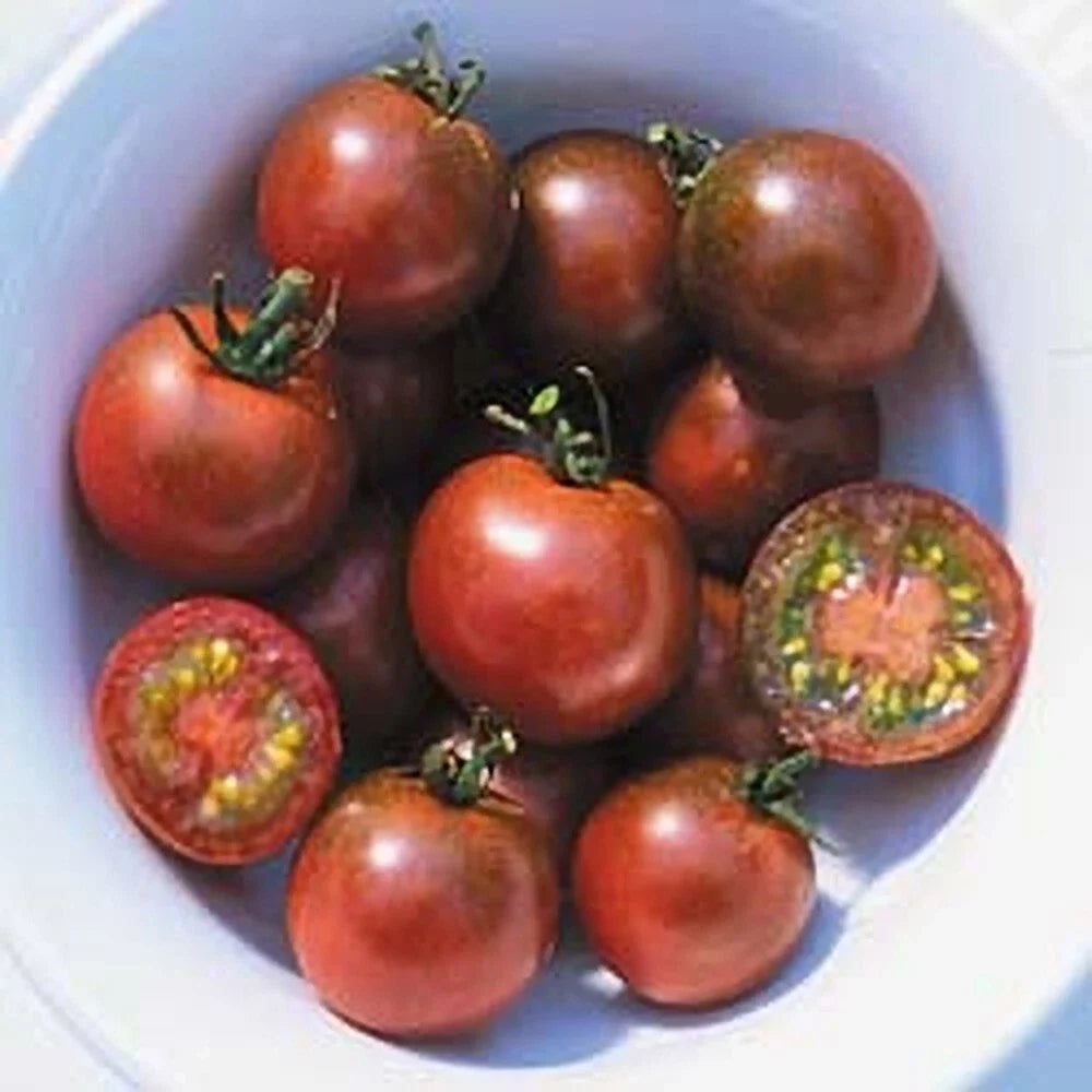Brown Berry Tomato Seeds - 10+ Heirloom Organic NON-GMO - Rare Variety for Home Gardening - Solanum lycopersicum