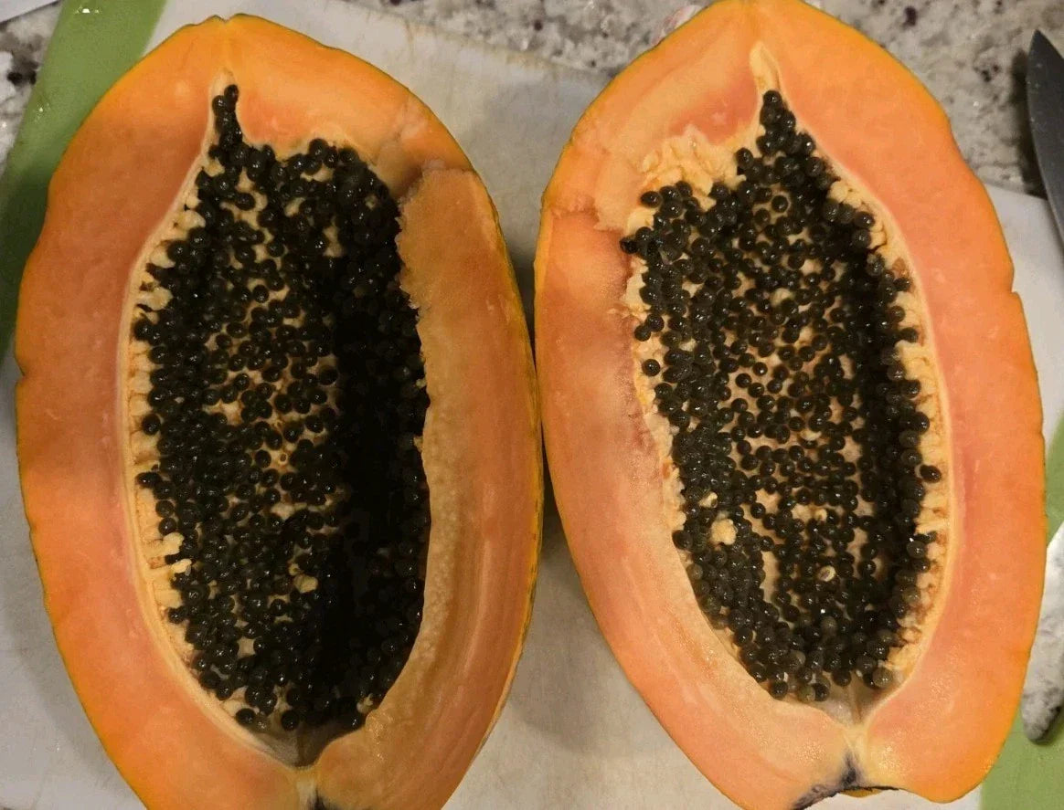 Red Heart Creamy Papaya Seeds - 50 Fresh Carica papaya Seeds for Home Garden