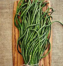 30 Yard Long Bean Seeds - Yu Long Variety, Chinese Green Beans, Asian Snake Pods - 2025 Seed Pack
