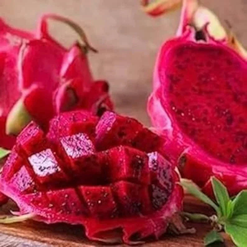 Red Dragon Fruit Seeds - 50 Pack, Hylocereus undatus, Cactus, Exotic Fruit Seeds for Home Garden, USA Grown, Free Shipping