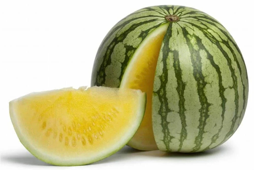 Yellow Doll Watermelon Seeds - 50+ Seedless Seeds for Planting - Citrullus lanatus - USA Grown, Free Shipping