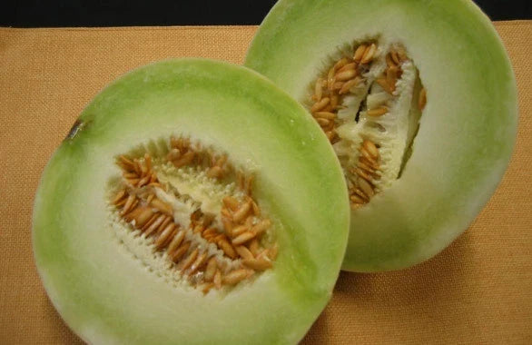 Cantaloupe Seeds - Honey Dew Melon Seeds - Cucumis melo - Pack of 20 Non-GMO, Open-Pollinated, Easy to Grow, Juicy Summer Melons
