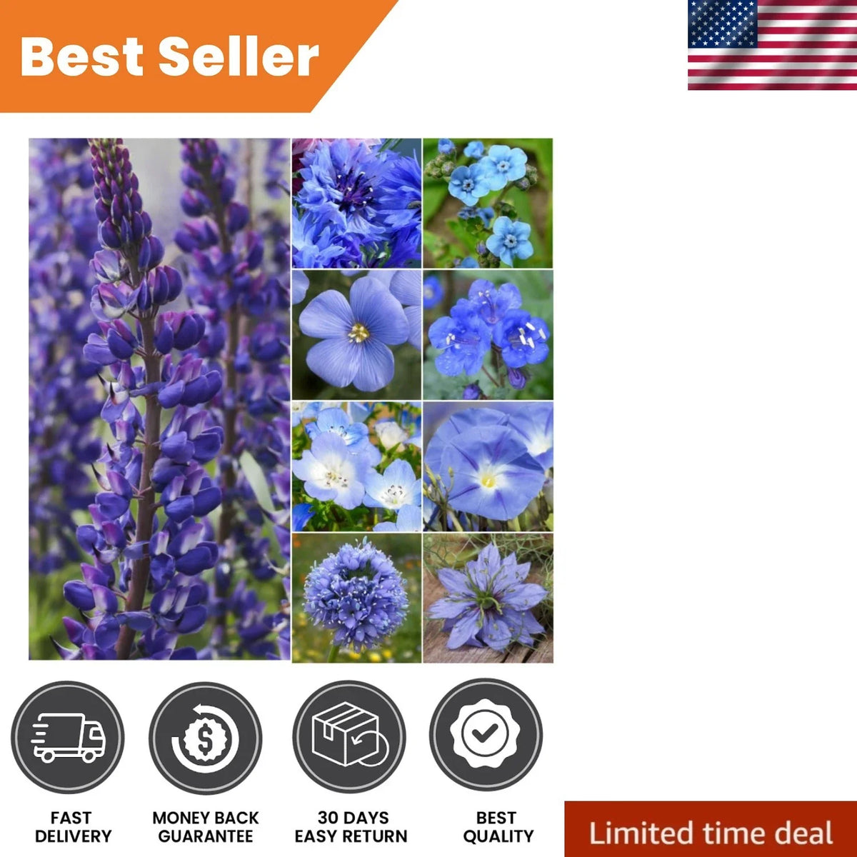 Mixed Wildflower Seeds - 30,000+ Butterfly & Bee Attracting Native Wildflower Blend for Gardens & Meadows
