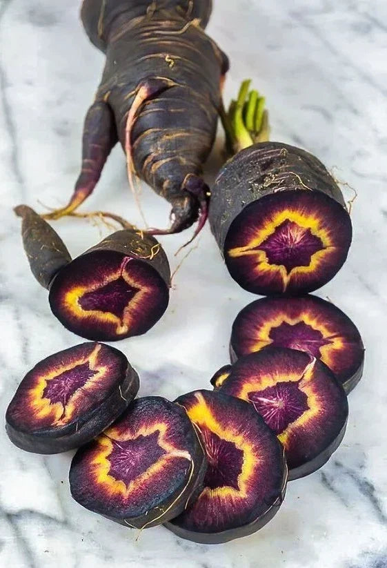 Black Nebula Carrot Seeds - Organic Heirloom Non-GMO, 200+ Fresh Daucus carota, Rare, Gourmet, Home Garden Planting Pack