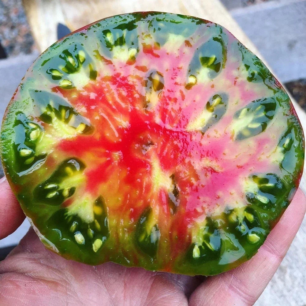 Ananas Noire Tomato Seeds - Organic Heirloom, Black Pineapple Variety, Solanum lycopersicum, 10+ Seeds