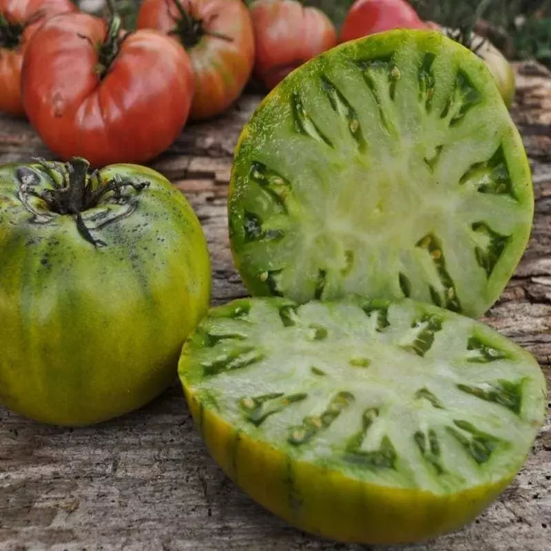 Cherokee Green Tomato Seeds - 120+ Heirloom Organic NON-GMO - Rare Variety - Perfect for Home Garden
