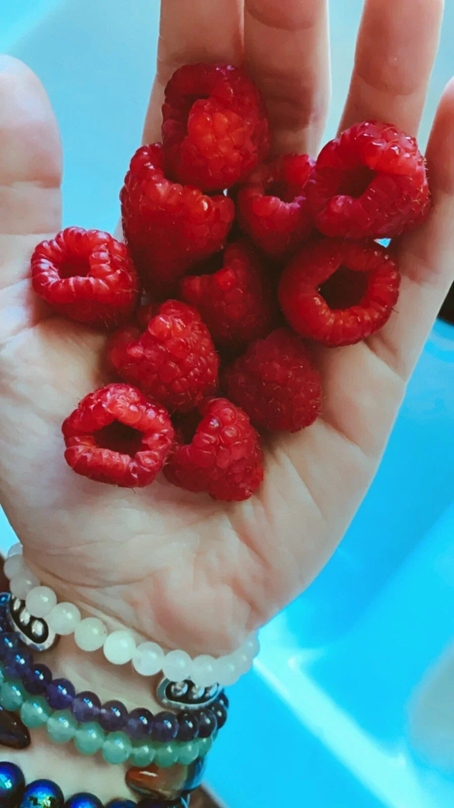 Red Raspberry Seeds - 500 Count - Edible Medicinal Berry Garden Vine - Rubus idaeus - Homegrown USA