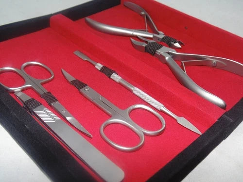 Women's Professional Manicure Set (6) from USA