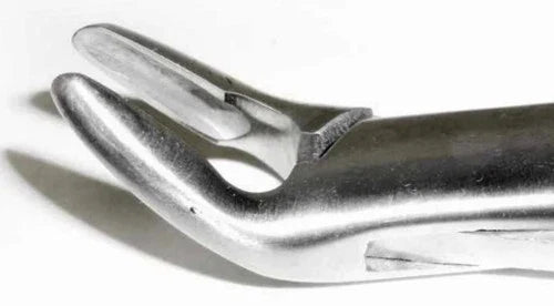 Dental Forcep #288