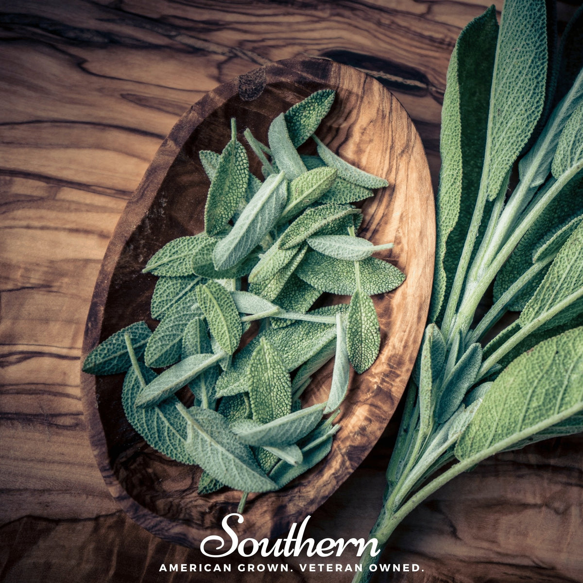 Extrakta Sage Seeds – Heirloom Salvia officinalis for Culinary Use, Aromatic, Drought-Tolerant Perennial Herb, 30 Seeds
