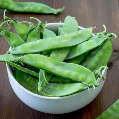 40 Seeds Pea Snow Dwarf Sugar Grey – Pisum sativum | Heirloom Snow Pea Seeds for Planting, Gardening & Crisp Sweet Harvests