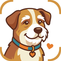 Senior Dog Supplies, Food & Care Guides