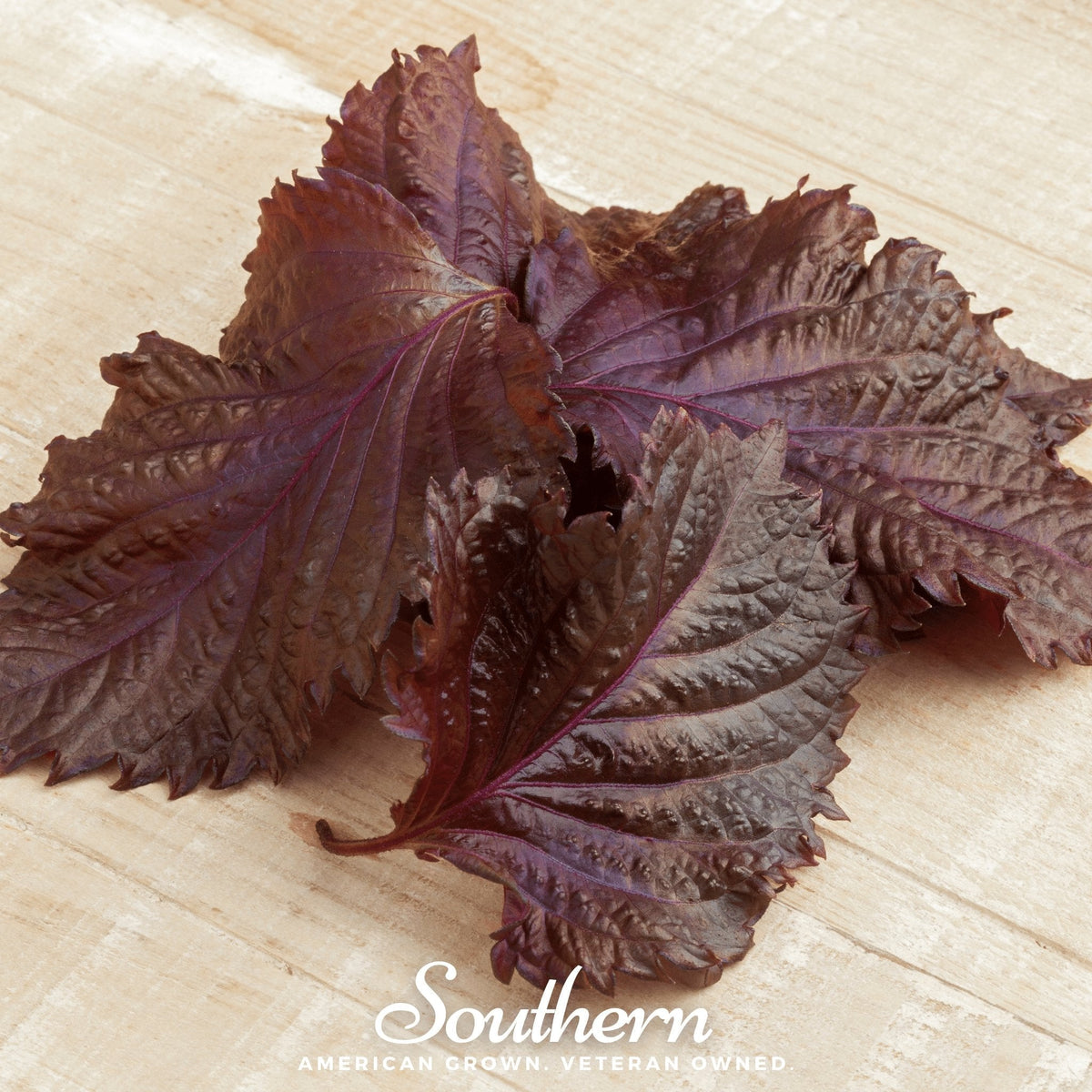 Close-up of Red Shiso seeds packet with deep reddish-purple leaves and growing instructions