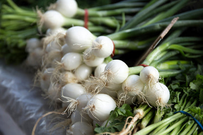 500 Crystal White WAX PEARL ONION Allium Cepa Vegetable Seeds