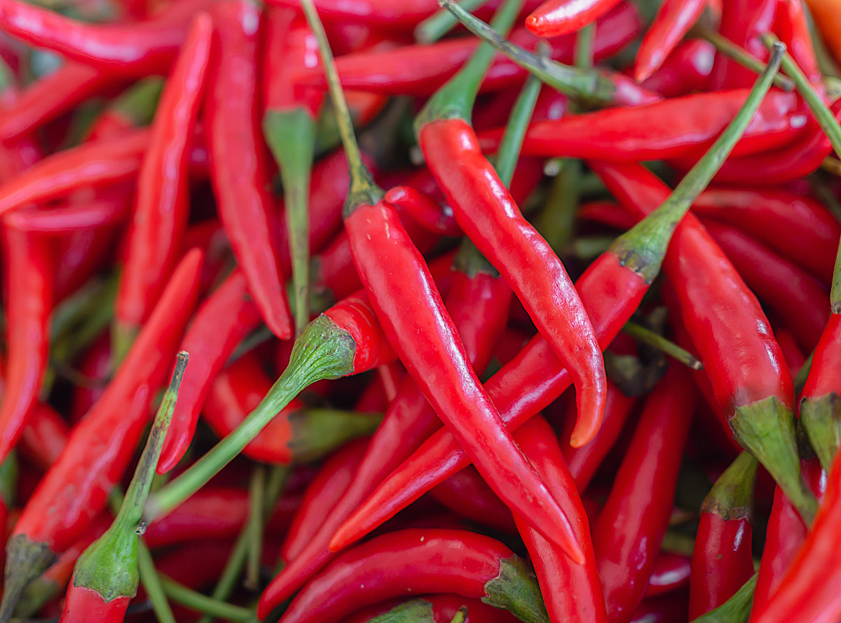 300 LONG Red CAYENNE PEPPER Hot Capsicum Annuum Vegetable Seeds