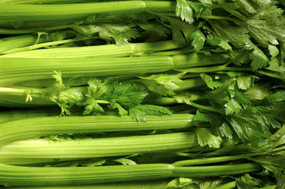 1000 TENDERCRISP CELERY Stalks & Leaves Apium Graveolens Vegetable Seeds