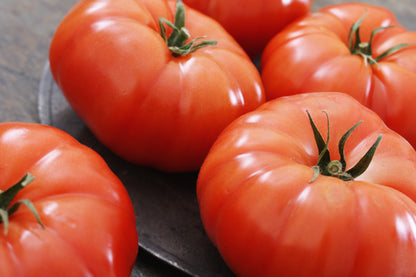 500 BEEFSTEAK TOMATO Lycopersicon Lycopersicum Fruit Vegetable Seeds