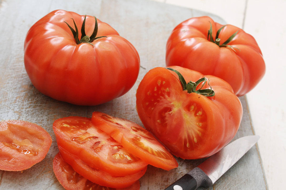 500 BEEFSTEAK TOMATO Lycopersicon Lycopersicum Fruit Vegetable Seeds