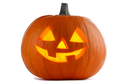 50 JACK O LANTERN PUMPKIN Cucurbita Maxima Vegetable Seeds