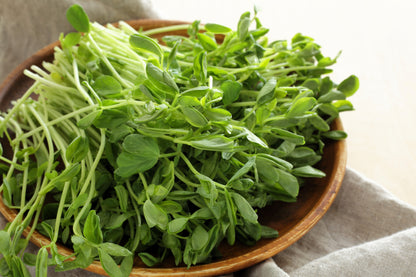 50 Super SUGAR SNAP PEA Pisum Sativum Macrocarpon Vegetable Seeds