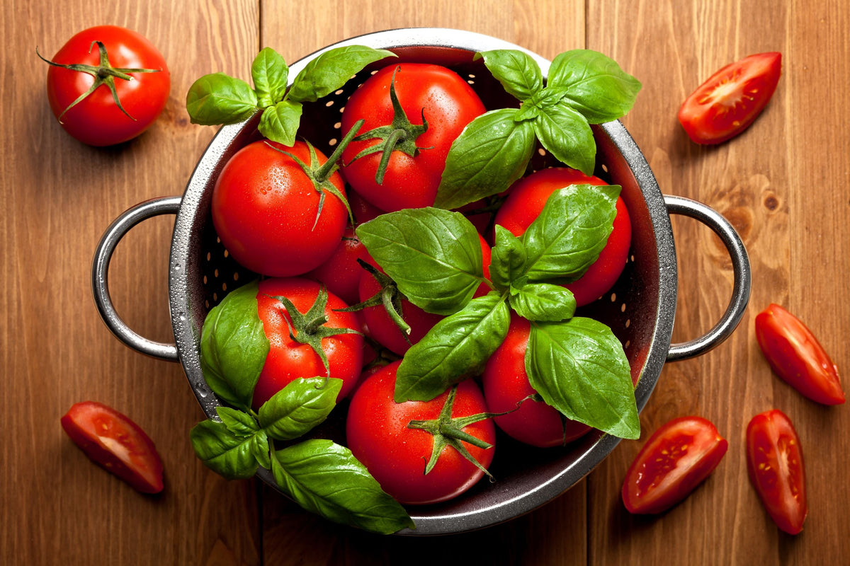 200 Red RUTGERS TOMATO Lycopersicon Globe Determinate 8 oz Fruit Vegetable Seeds