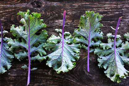 500 RED RUSSIAN KALE Brassica Oleracea Vegetable Seeds