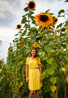 10 Early MAMMOTH RUSSIAN SUNFLOWER Helianthus Annuus Flower Seeds
