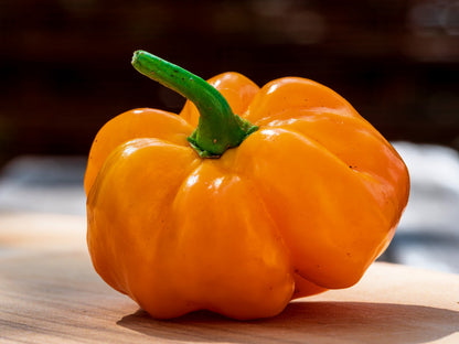 40 Yellow JAMAICAN HOT PEPPER Capsicum Chinense Scotch Bonnet Vegetable Seeds