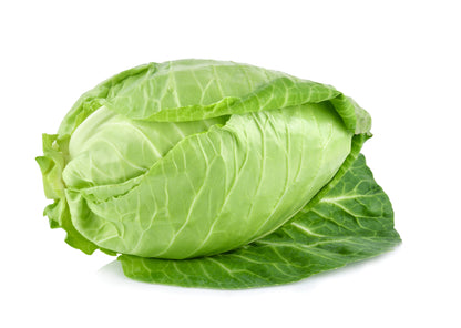 500 Early JERSEY WAKEFIELD CABBAGE Brassica Oleracea Capitata Vegetable Seeds