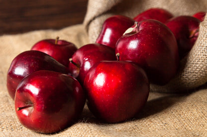 25 PARADISE APPLE Red Delicious Common Malus Pumila Domestica Fruit Tree Seeds