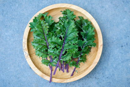 500 RED RUSSIAN KALE Brassica Oleracea Vegetable Seeds