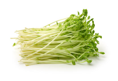 50 Super SUGAR SNAP PEA Pisum Sativum Macrocarpon Vegetable Seeds