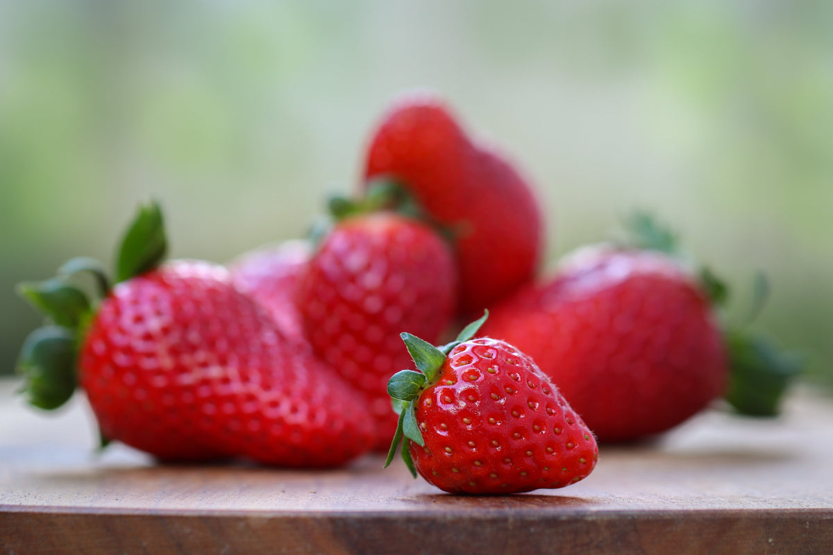 100 ALPINE STRAWBERRY Fragaria Vesca Red Fruit White Flower Seeds