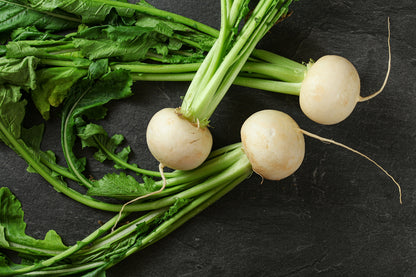 500 Hailstone WHITE GLOBE RADISH Raphanus Sativus Vegetable Seeds