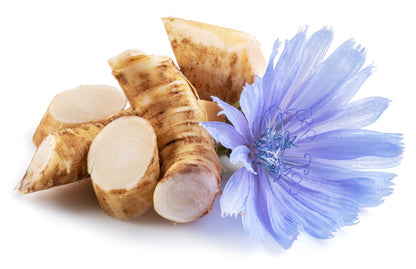 1000 CHICORY (Blue Daisy / Blue Sailors / Coffeeweed / Succory) Cichorium Intybus Flower Herb Seeds