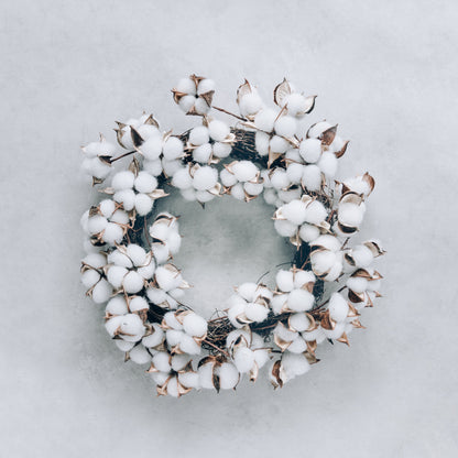 25 WHITE COTTON Gossypium Hirsutum Plant Seeds