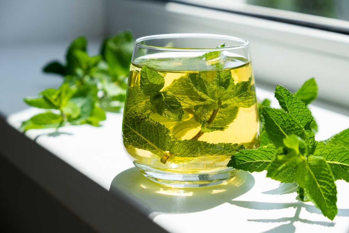 250 PEPPERMINT MINT Mentha Piperita Herb Flower Seeds