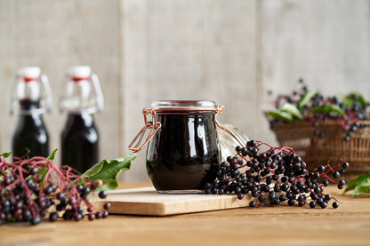 25 American ELDERBERRY FRUIT BUSH Shrub Tree Sambucus Nigra Canadensis Seeds