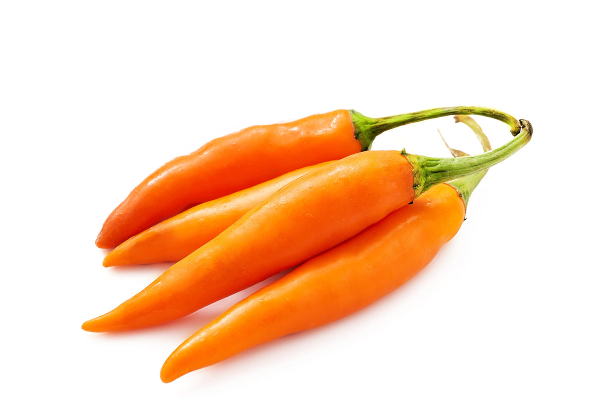 100 MIXED CAYENNE PEPPER Hot Yellow Purple Orange Red Green Capsicum Vegetable Seeds