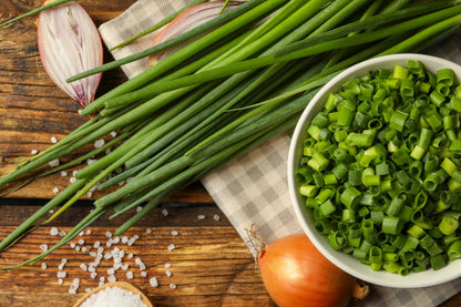 500 CHIVE Allium Schoenoprasum Vegetable Seeds